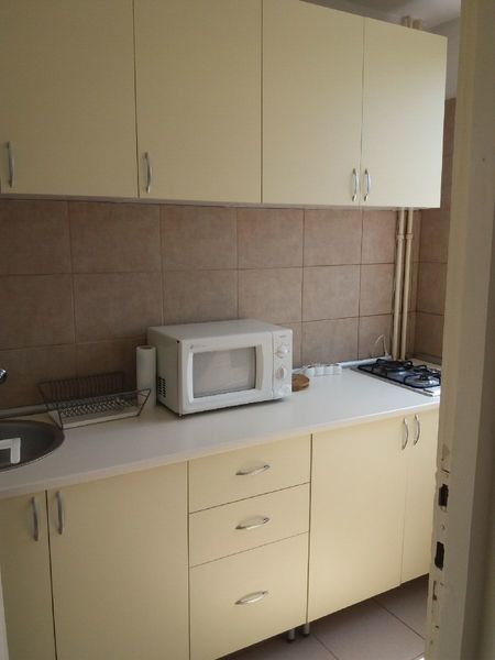 Drumul Taberei, Compozitorilor, Hanul Drumetului, proprietar